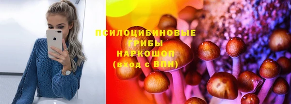 тгк Богданович