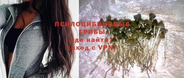 тгк Богданович