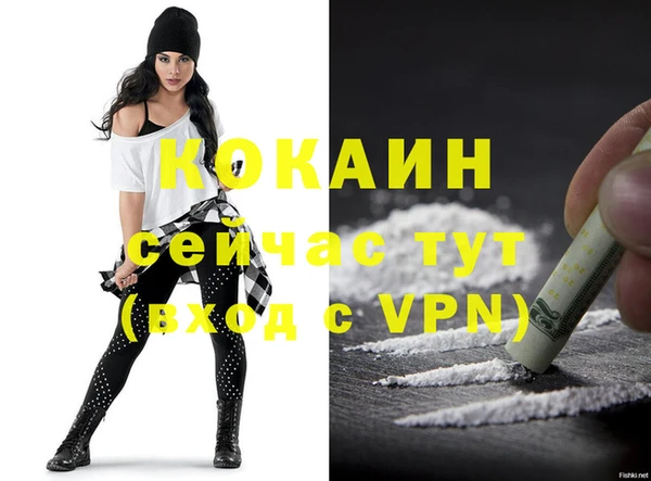 тгк Богданович